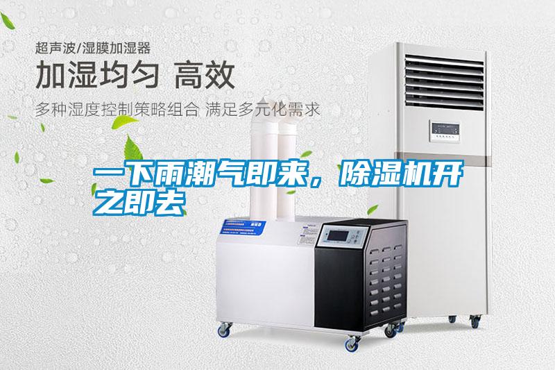 一下雨潮氣即來，除濕機開之即去