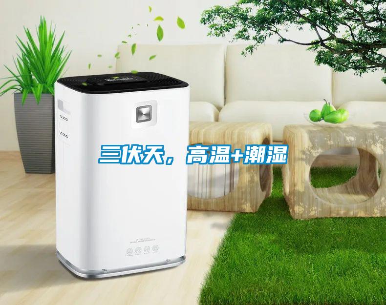 三伏天,高溫+潮濕