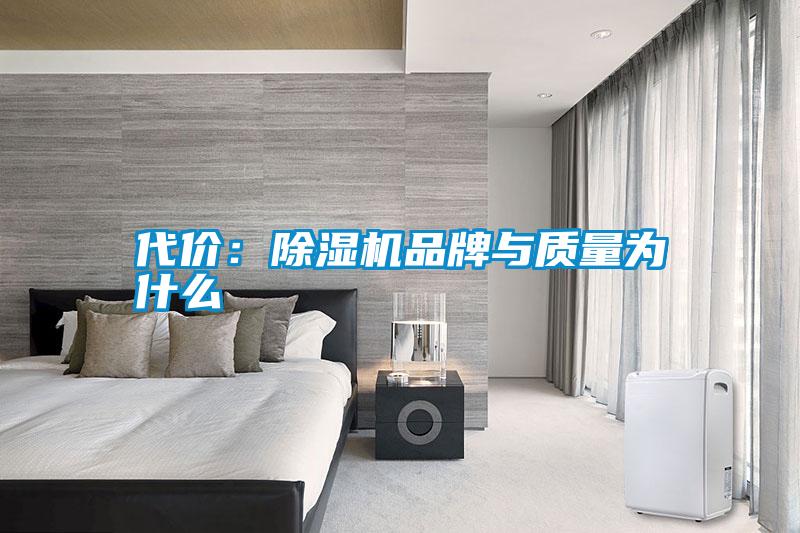 代價:除濕機品牌與質量為什么