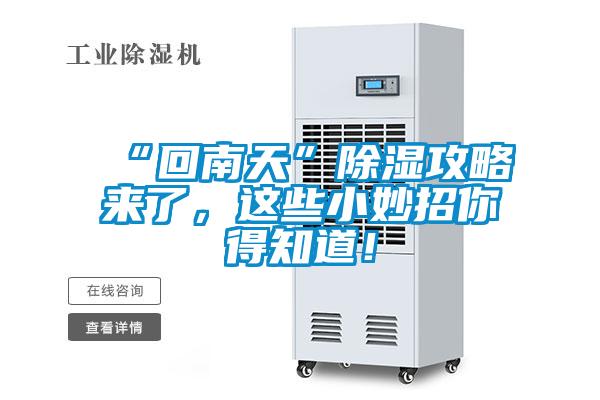 “回南天”除濕攻略來了,這些小妙招你得知道!