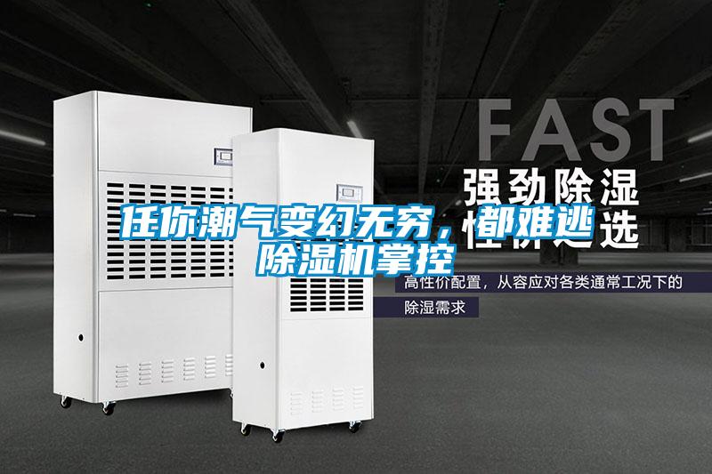 任你潮氣變幻無窮，都難逃除濕機掌控