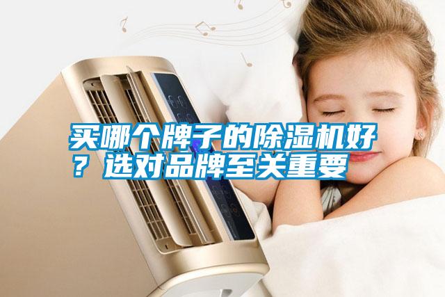 買哪個牌子的除濕機好?選對品牌至關重要