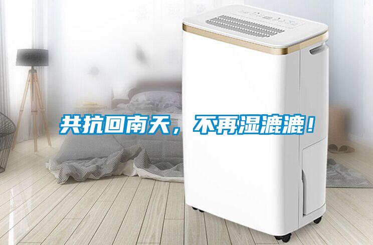 共抗回南天,不再濕漉漉!