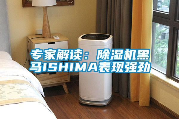 專家解讀:除濕機黑馬ISHIMA表現強勁