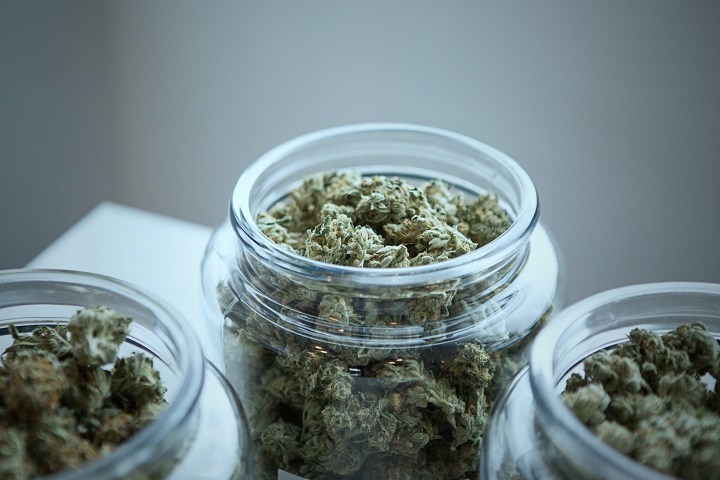 中藥草烘干機 中藥草烘干機