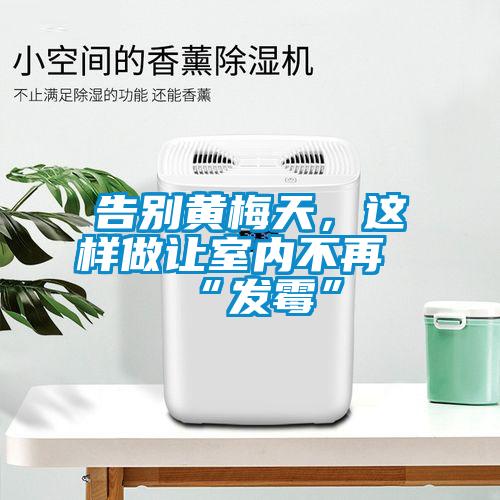 告別黃梅天,這樣做讓室內不再“發霉”