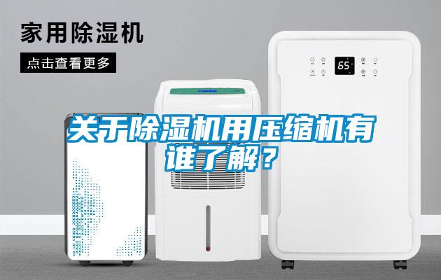關(guān)于除濕機用壓縮機有誰了解？