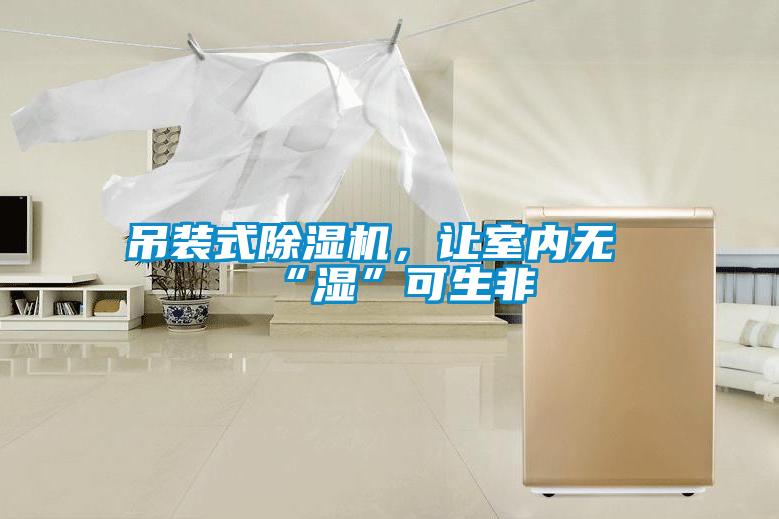 吊裝式除濕機,讓室內無“濕”可生非