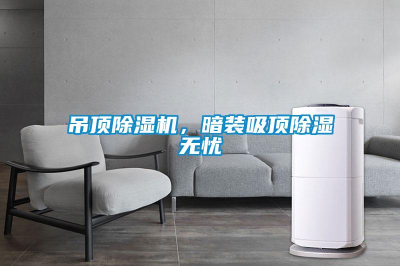 吊頂除濕機,暗裝吸頂除濕無憂