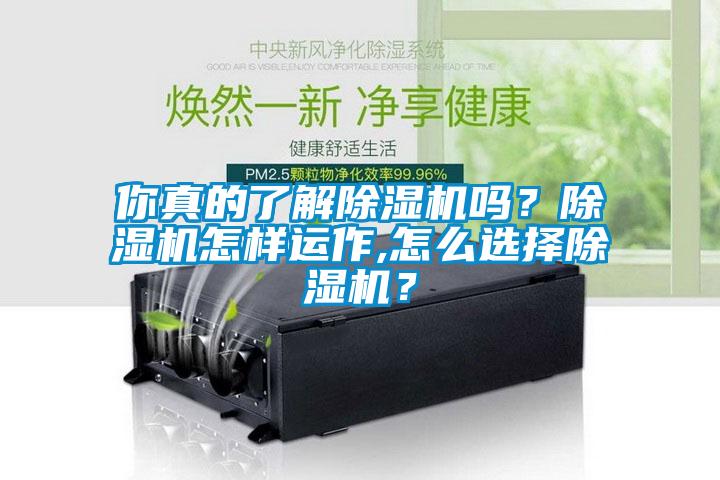 你真的了解除濕機嗎？除濕機怎樣運作,怎么選擇除濕機？