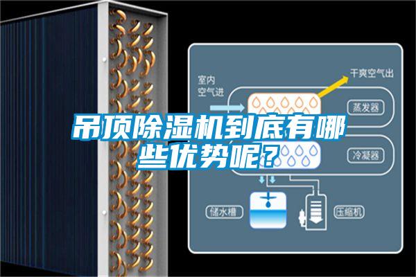 吊頂除濕機到底有哪些優(yōu)勢呢?