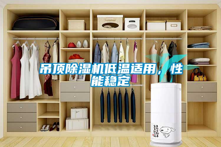 吊頂除濕機低溫適用,性能穩定
