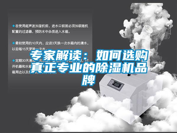 專家解讀:如何選購真正專業的除濕機品牌