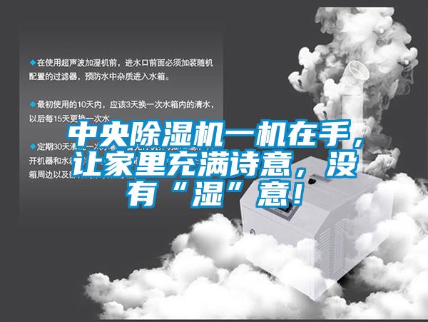 中央除濕機一機在手,讓家里充滿詩意,沒有“濕”意!