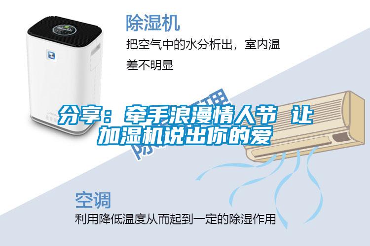 分享:牽手浪漫情人節 讓加濕機說出你的愛