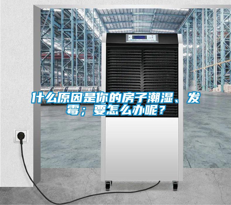 什么原因是你的房子潮濕、發霉;要怎么辦呢?