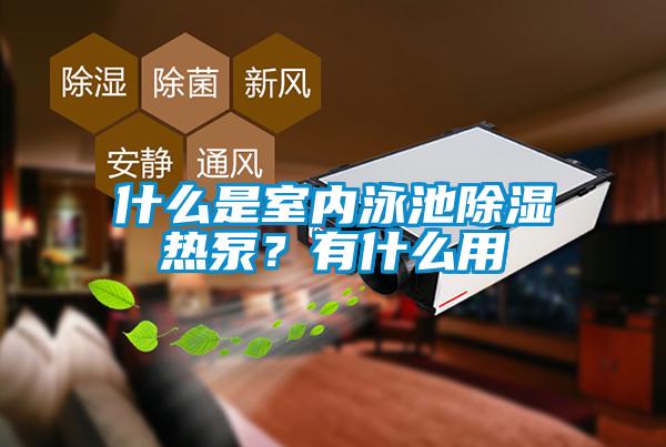什么是室內泳池除濕熱泵?有什么用