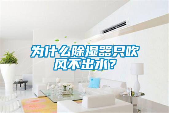為什么除濕器只吹風不出水?