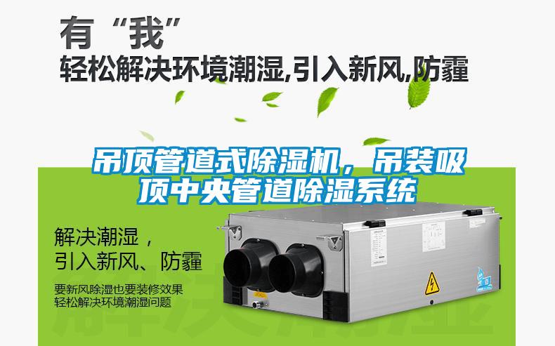 吊頂管道式除濕機,吊裝吸頂中央管道除濕系統