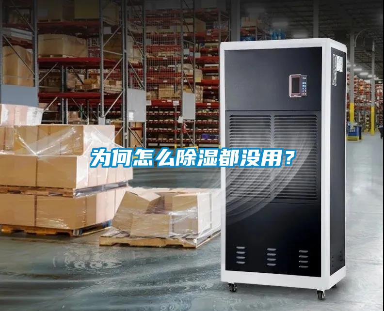 為何怎么除濕都沒用?