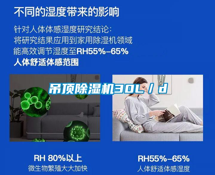 吊頂除濕機(jī)30L/d