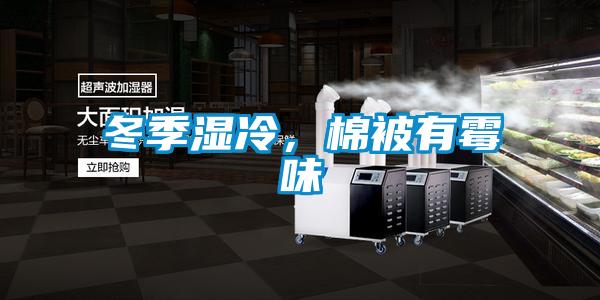冬季濕冷，棉被有霉味