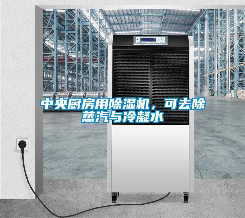 中央廚房用除濕機,可去除蒸汽與冷凝水