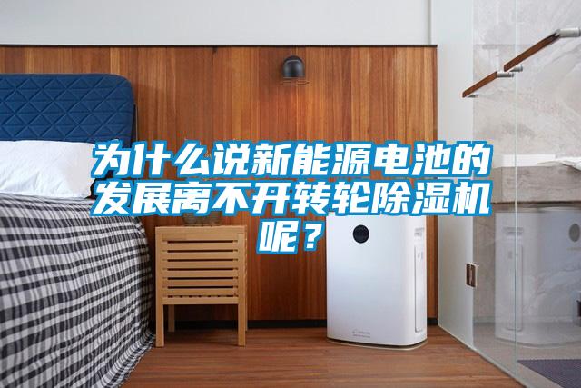 為什么說(shuō)新能源電池的發(fā)展離不開(kāi)轉(zhuǎn)輪除濕機(jī)呢?