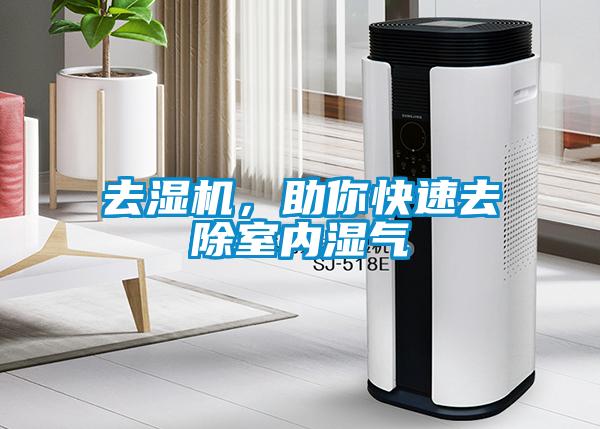去濕機,助你快速去除室內濕氣