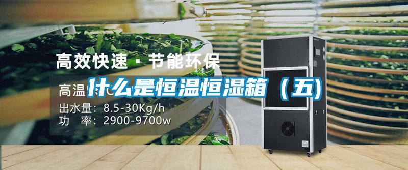 什么是恒溫恒濕箱(五)