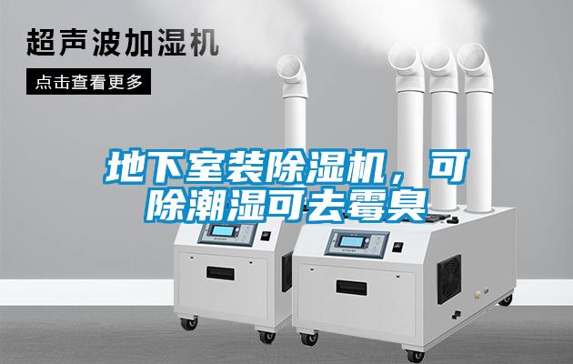 地下室裝除濕機,可除潮濕可去霉臭