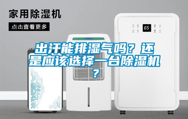 出汗能排濕氣嗎？還是應該選擇一臺除濕機？