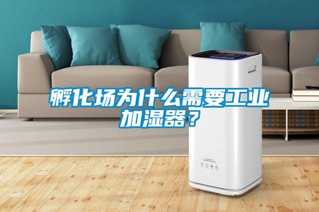 孵化場為什么需要工業(yè)加濕器?