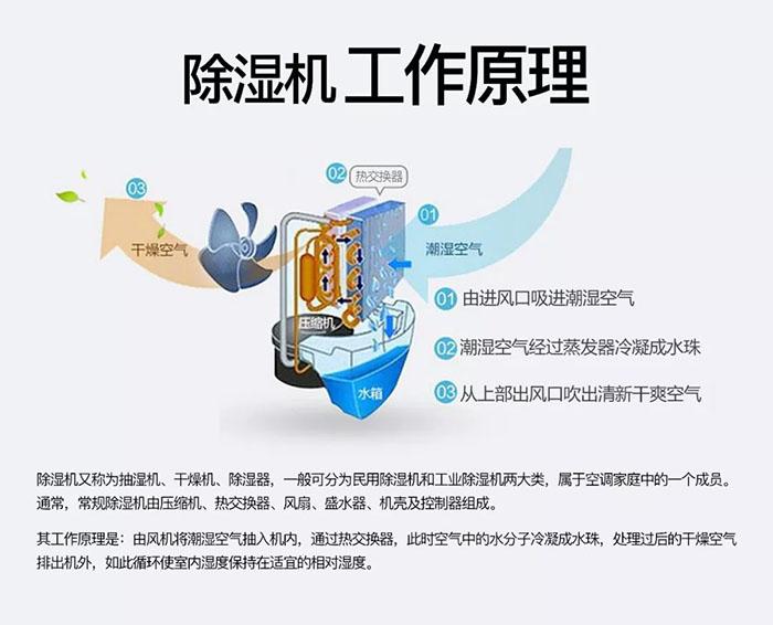 南北之爭：南方的濕冷比北方的干冷更變態？