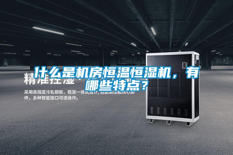 什么是機房恒溫恒濕機,有哪些特點?