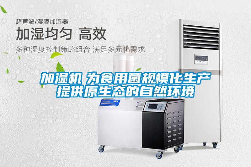 加濕機 為食用菌規(guī)模化生產(chǎn)提供原生態(tài)的自然環(huán)境