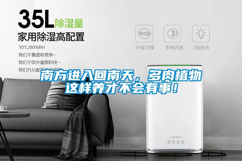 南方進(jìn)入回南天,多肉植物這樣養(yǎng)才不會(huì)有事!