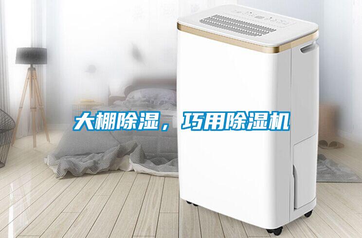 大棚除濕,巧用除濕機(jī)