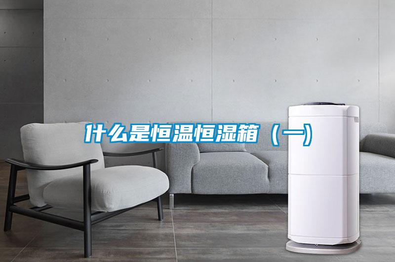 什么是恒溫恒濕箱(一)
