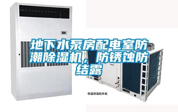 地下水泵房配電室防潮除濕機,防銹蝕防結露