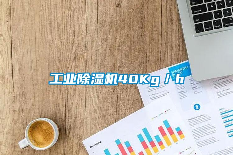 工業(yè)除濕機40Kg/h