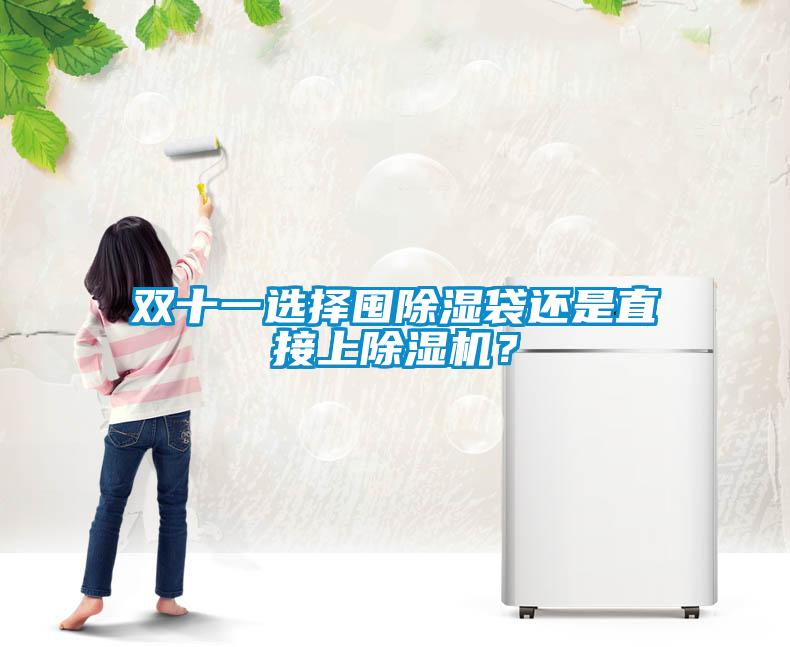 雙十一選擇囤除濕袋還是直接上除濕機?