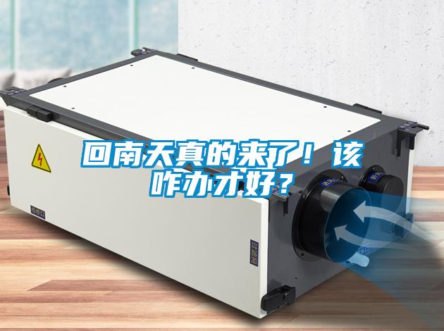 回南天真的來了!該咋辦才好?