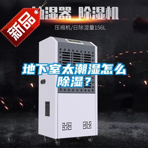 地下室太潮濕怎么除濕?
