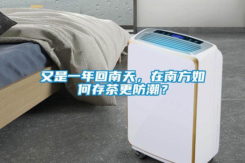 又是一年回南天,在南方如何存茶更防潮?