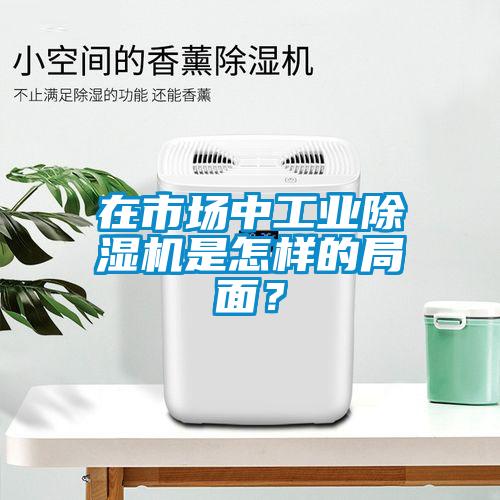 在市場中工業除濕機是怎樣的局面?