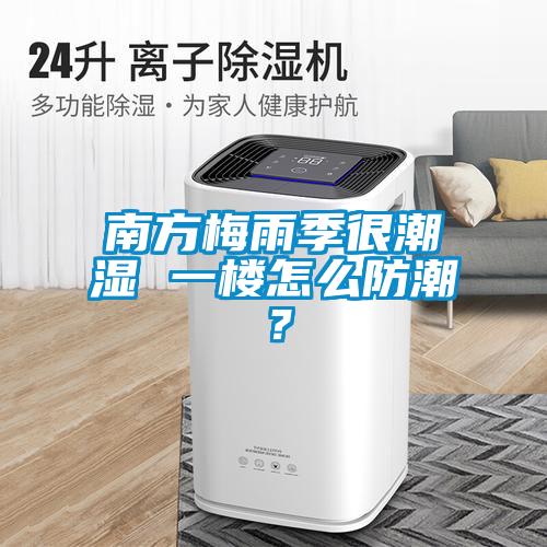 南方梅雨季很潮濕 一樓怎么防潮?