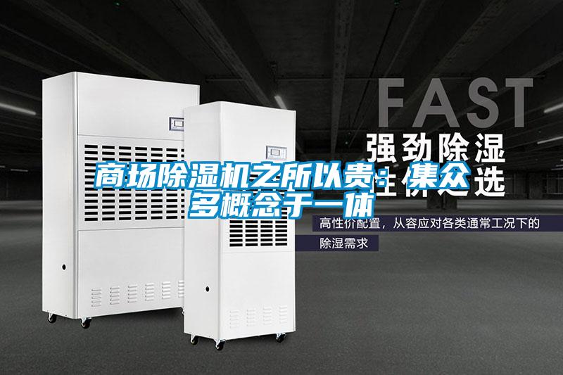 商場除濕機之所以貴:集眾多概念于一體
