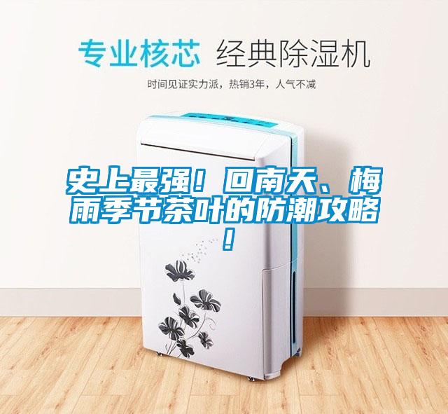 史上最強!回南天、梅雨季節茶葉的防潮攻略!
