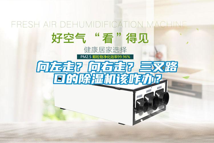 向左走？向右走？三叉路口的除濕機該咋辦？